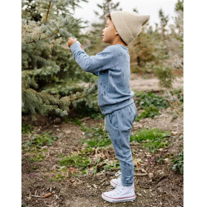 Autumn Tracksuits Boutique Two Piece Print Sweat Suits Baby Boys Clothing Sets - Image 5